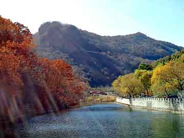 新澳门二四六天天彩，壳牌机油型号